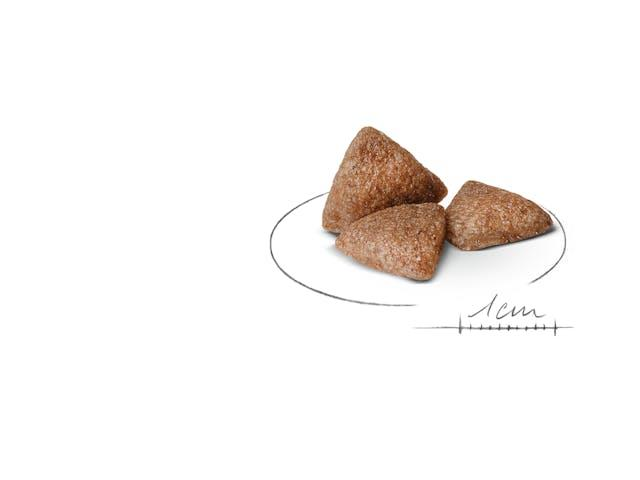 Royal Canin Mini Indoor Adult Yetişkin Mini Irk Köpek Maması 1,5 Kg