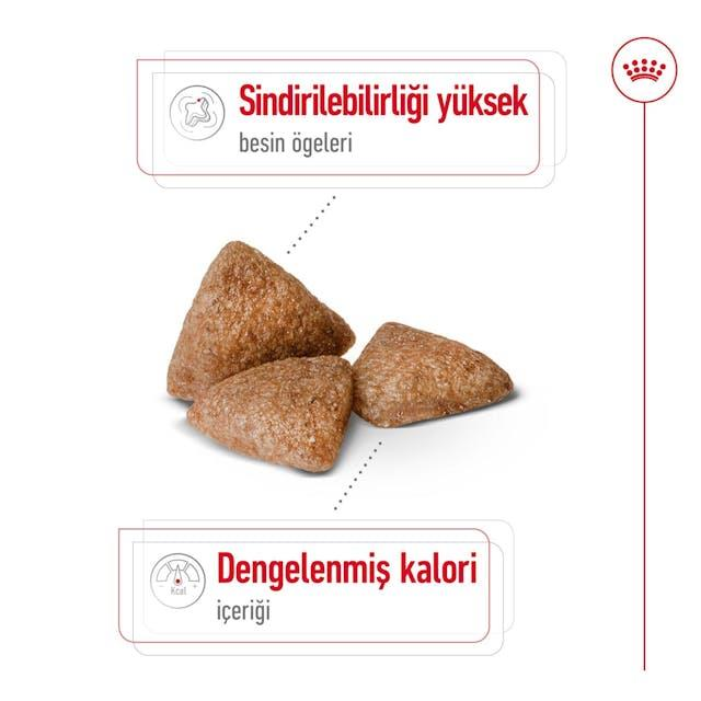 Royal Canin Mini Indoor Adult Yetişkin Mini Irk Köpek Maması 1,5 Kg