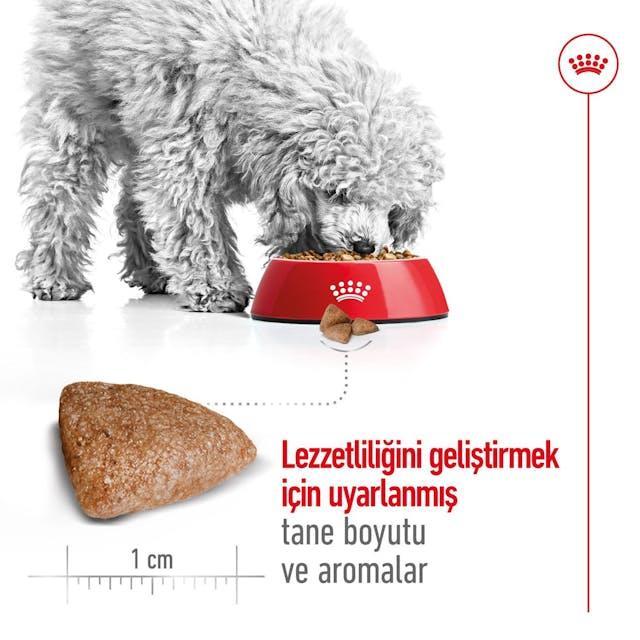 Royal Canin Mini Indoor Adult Yetişkin Mini Irk Köpek Maması 1,5 Kg