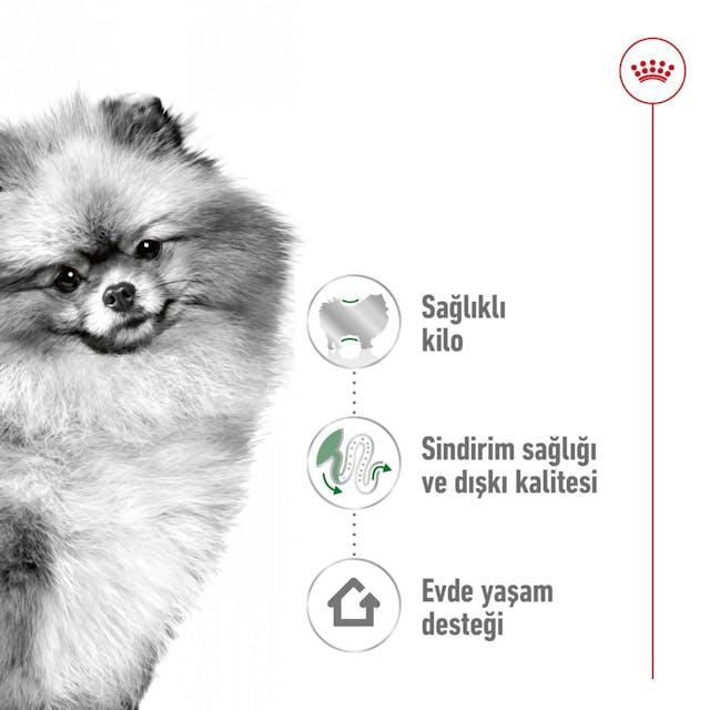 Royal Canin Mini Indoor Adult Yetişkin Mini Irk Köpek Maması 1,5 Kg