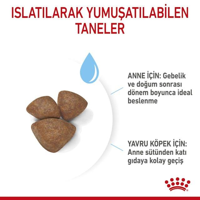 Royal Canin Mini Starter Mother & Babydog Anne ve Yavru Köpek Maması 4 Kg