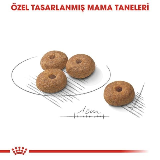 Royal Canin Mini Sterilised Küçük Irk Kısırlaştırılmış Köpek Maması 3 Kg