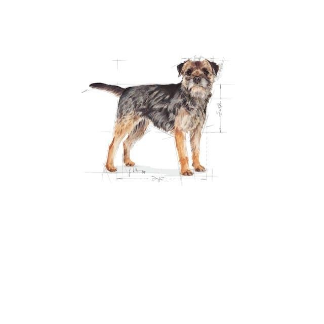 Royal Canin Mini Sterilised Küçük Irk Kısırlaştırılmış Köpek Maması 3 Kg