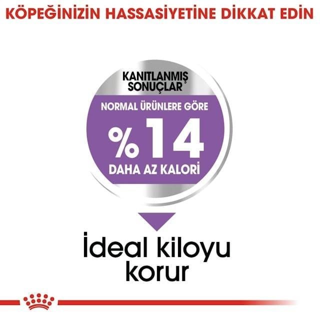 Royal Canin Mini Sterilised Küçük Irk Kısırlaştırılmış Köpek Maması 3 Kg