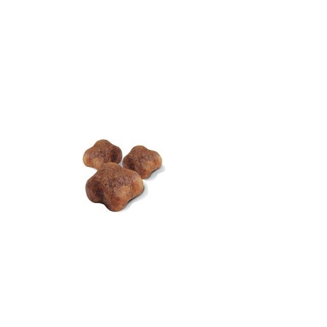 Royal Canin Mother & Babycat Anne ve Yavru Kedi Maması 4 Kg