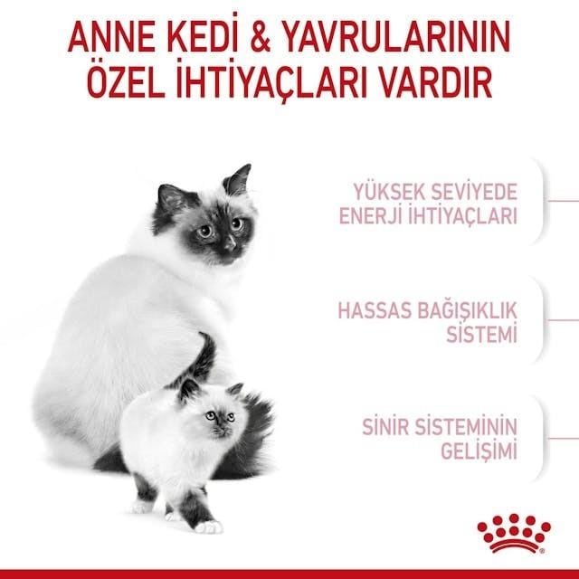 Royal Canin Mother & Babycat Anne ve Yavru Kedi Maması 4 Kg