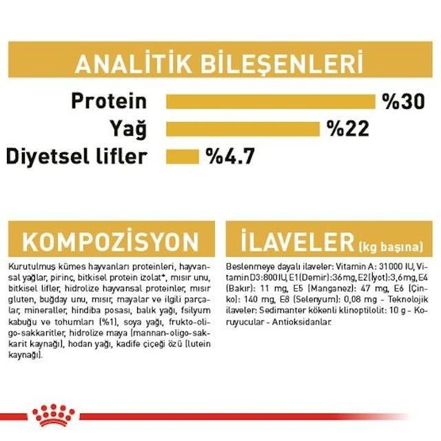 Royal Canin Persian Adult Yetişkin Kedi Maması 2 Kg