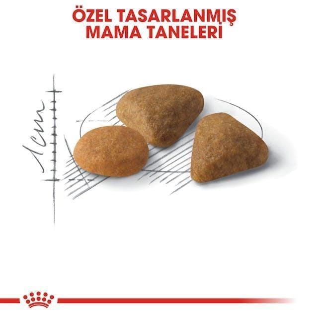 Royal Canin Savour Exigent Yetişkin Kedi Maması 2 Kg