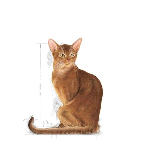 Royal Canin Savour Exigent Yetişkin Kedi Maması 2 Kg