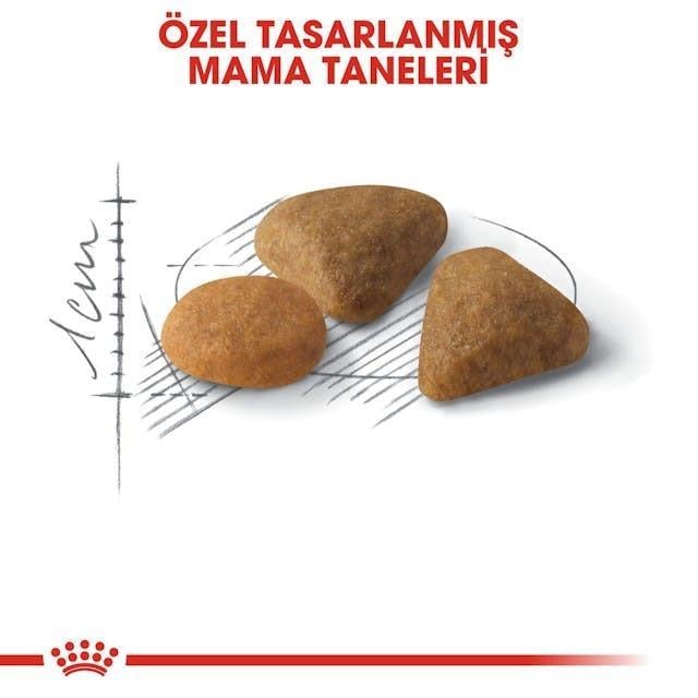 Royal Canin Savour Exigent Yetişkin Kedi Maması 2 Kg