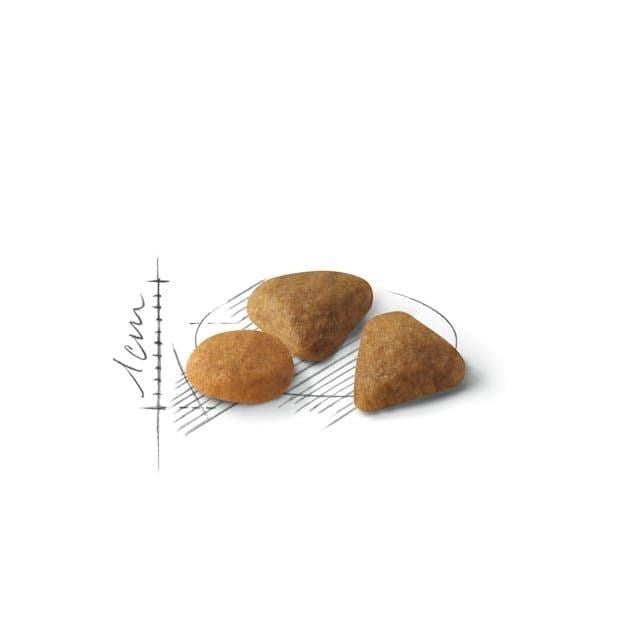Royal Canin Savour Exigent Yetişkin Kedi Maması 2 Kg