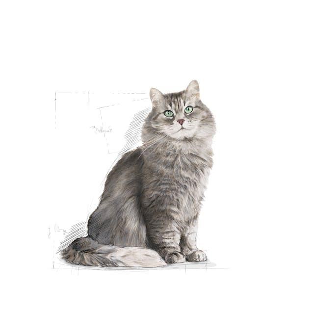 Royal Canin Sensible 33 Hassas Yetişkin Kedi Maması 2 Kg