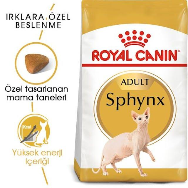 Royal Canin Sphynx Özel Irk Yetişkin Kedi Maması 2 Kg