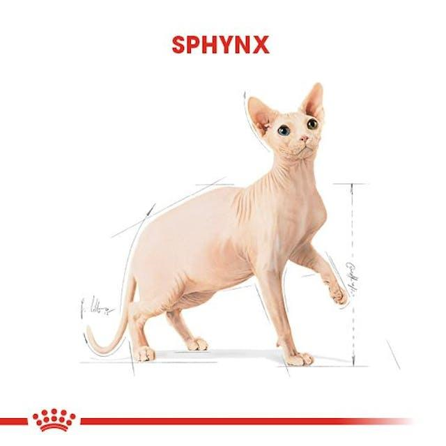 Royal Canin Sphynx Özel Irk Yetişkin Kedi Maması 2 Kg