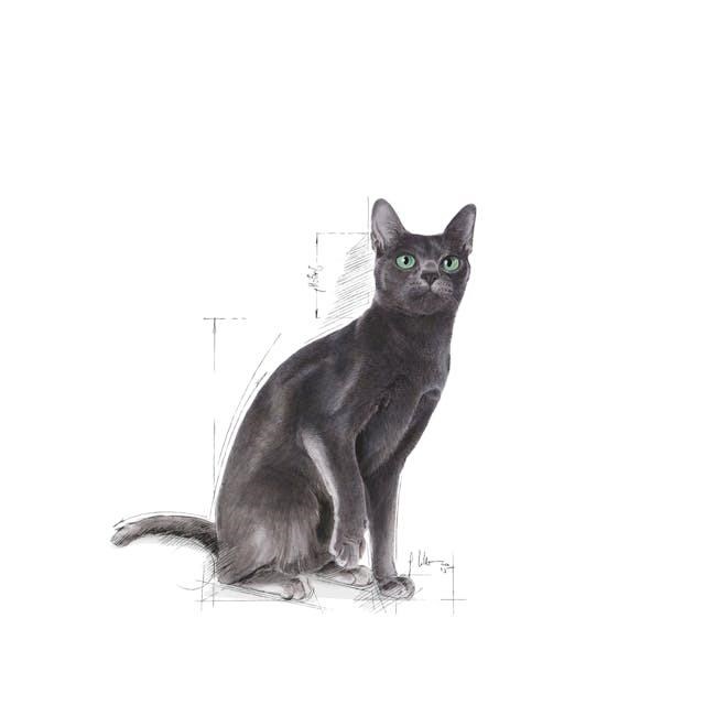 Royal Canin Sterilised 37 Kısırlaştırılmış Kedi Maması 4 Kg