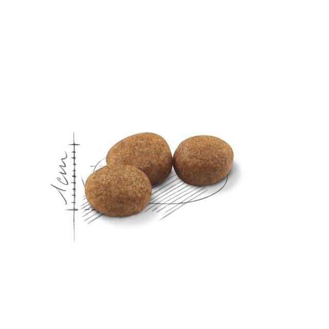 Royal Canin Sterilised 37 Kısırlaştırılmış Kedi Maması 4 Kg