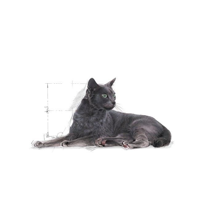 Royal Canin Sterilised 7+ Kısırlaştırılmış Kedi Maması 3,5 Kg