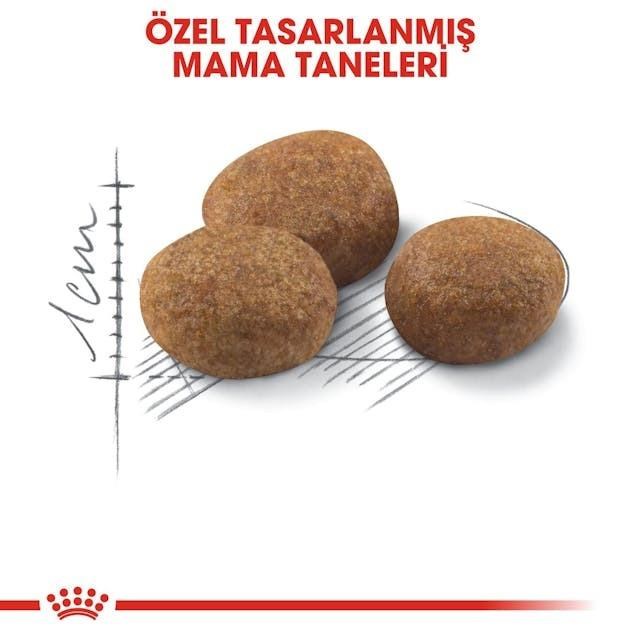Royal Canin Sterilised 7+ Kısırlaştırılmış Kedi Maması 3,5 Kg
