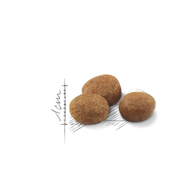 Royal Canin Sterilised 7+ Kısırlaştırılmış Kedi Maması 3,5 Kg
