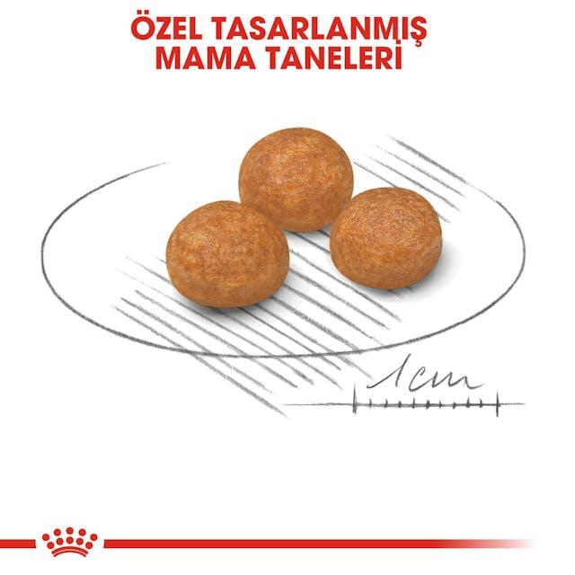 Royal Canin Xsmall Adult Küçük Irk Yetişkin Köpek Maması 3 Kg