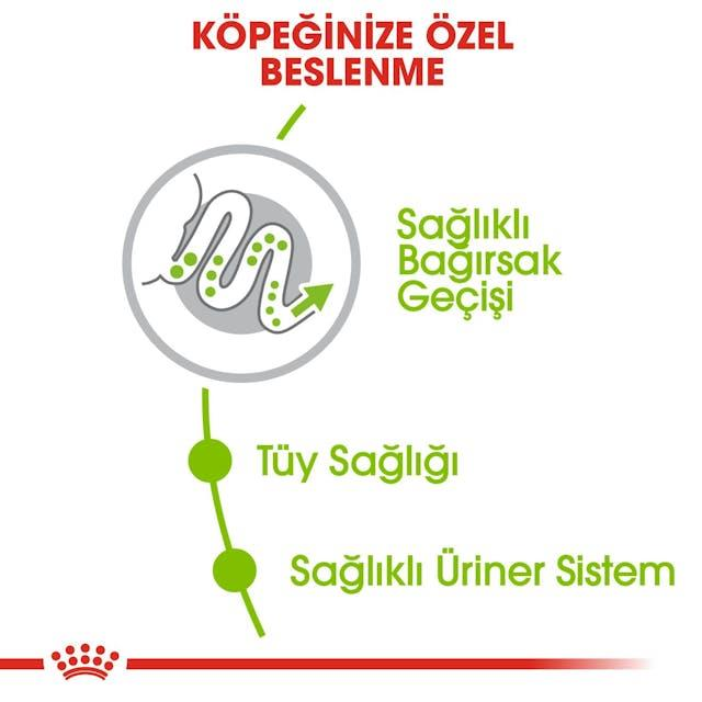 Royal Canin Xsmall Adult Küçük Irk Yetişkin Köpek Maması 1,5 Kg