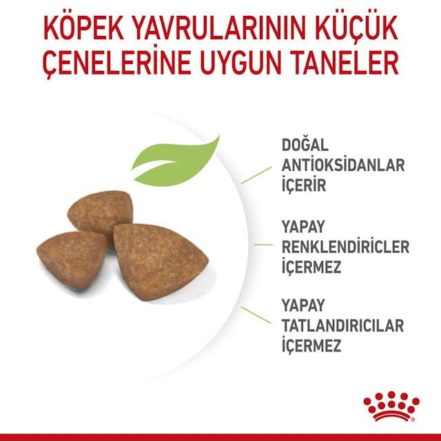 Royal Canin Xsmall Puppy Küçük Irk Yavru Köpek Maması 1,5 Kg