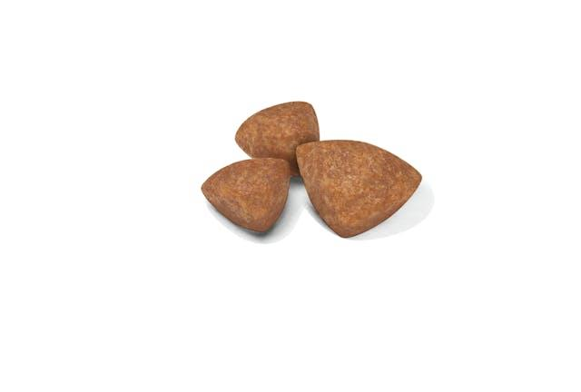 Royal Canin Xsmall Puppy Küçük Irk Yavru Köpek Maması 1,5 Kg