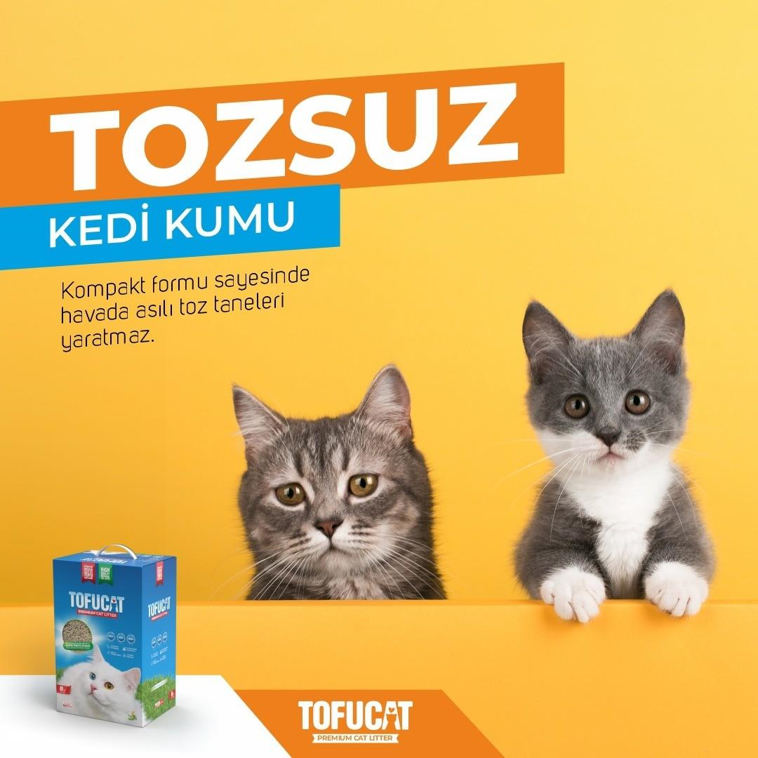 TofuCat Tuvalete Atılabilen Koku Hapsedeci Topaklanan Doğal Kedi Kumu 8 Lt (2 Adet)