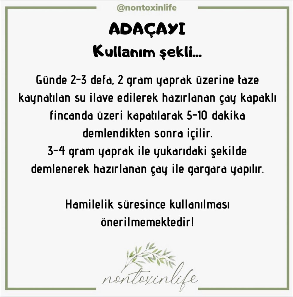 Adaçayı(Salvia Officinalis)