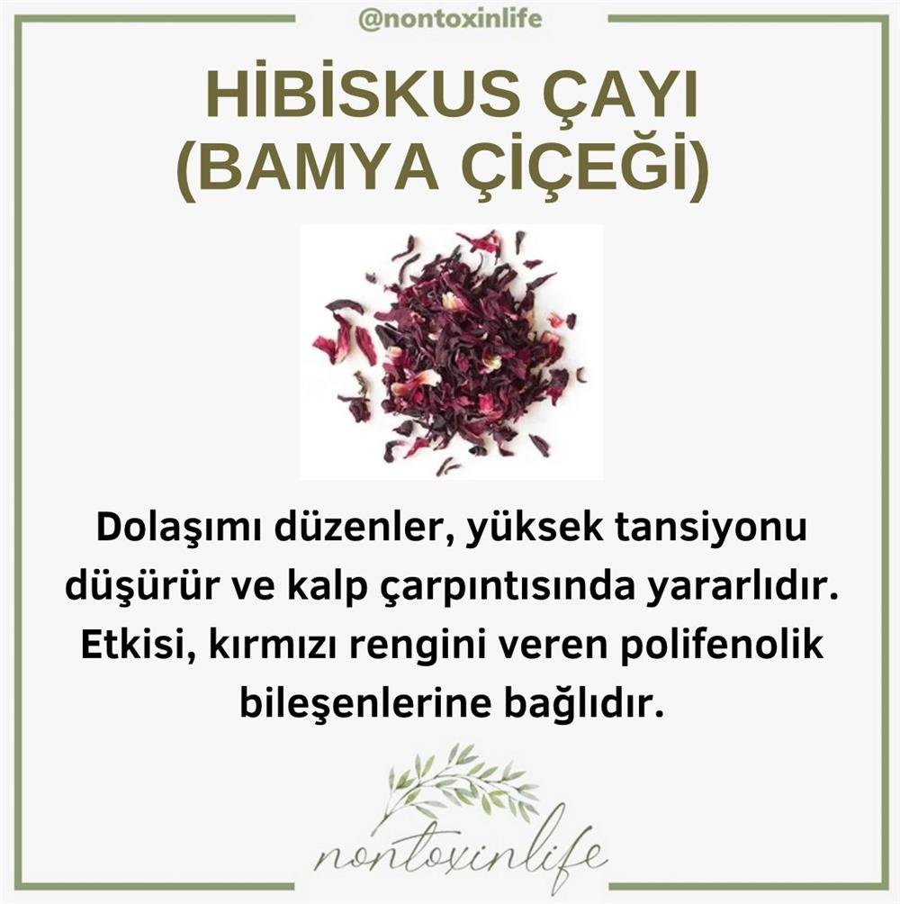 Hibiskus Çayı