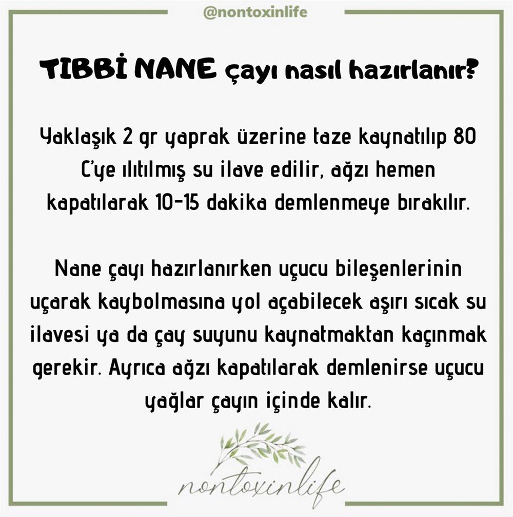 Tıbbi Nane(Menthae Piperitae)