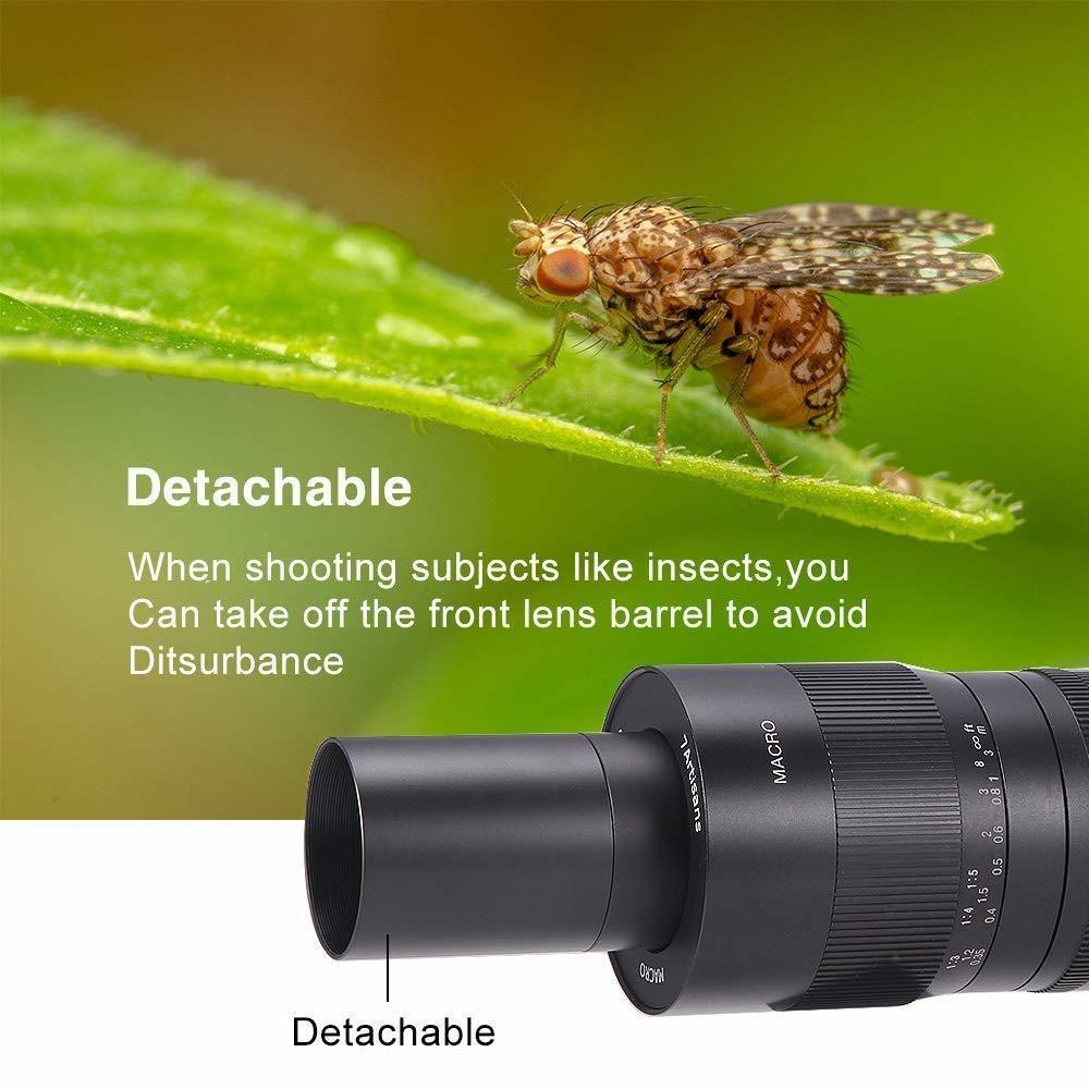 7artisans 60mm F2.8 Macro APS-C Lens Canon (EOS-R Mount)