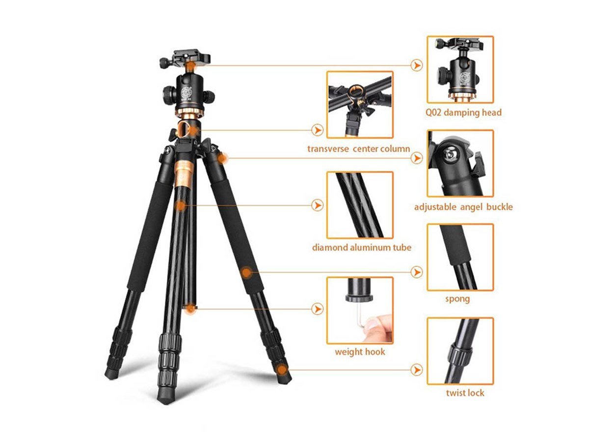 Arcury TP03 Tripod