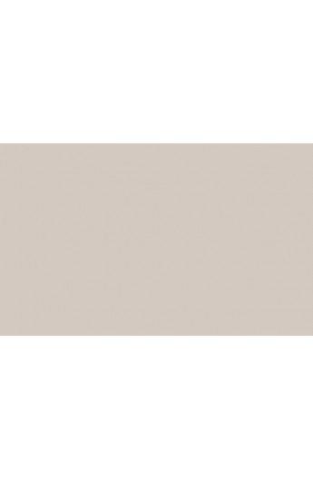 BD Backgrounds Stüdyo Fon  (Silver Gray 127)