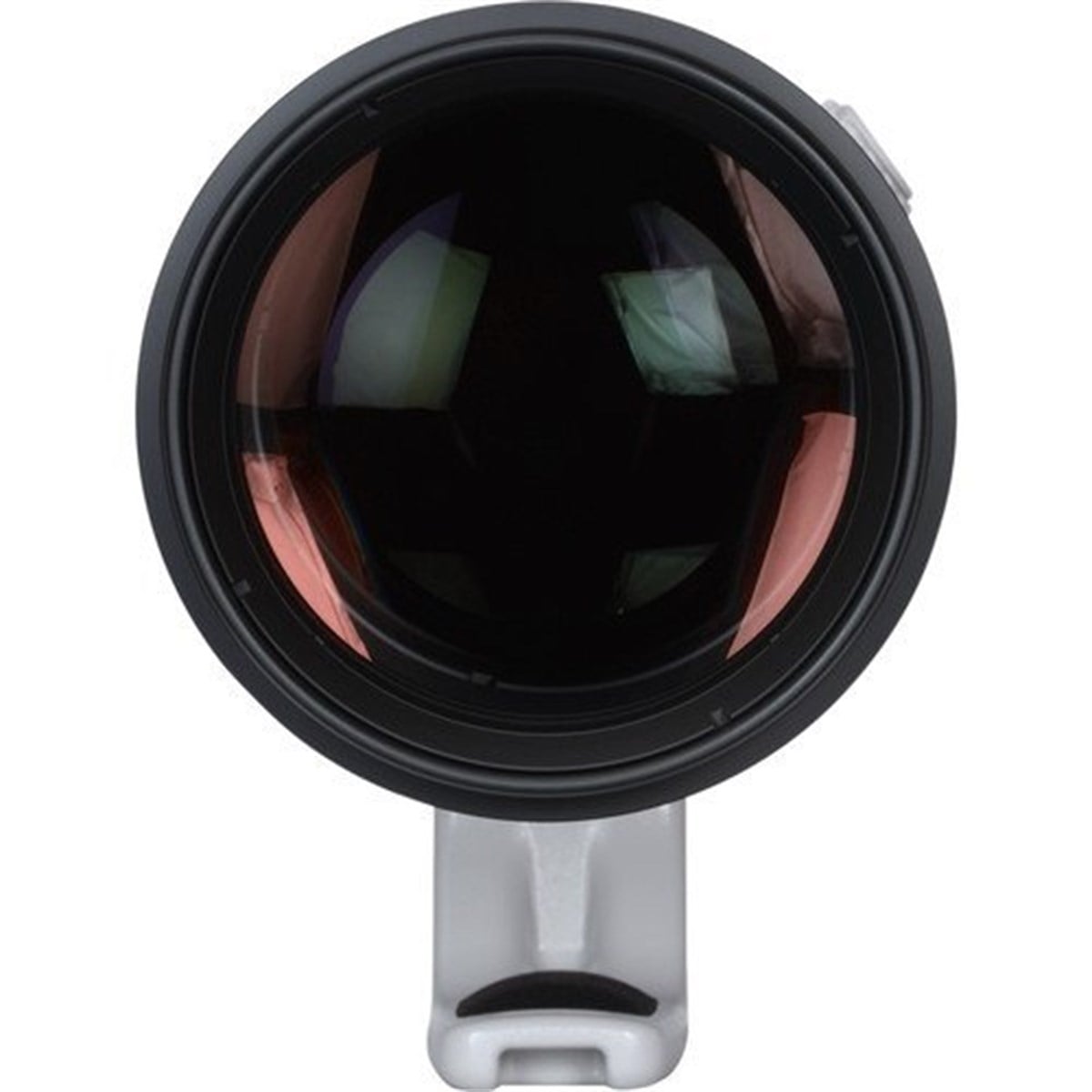 Canon EF 200-400mm f/4L IS USM Extender 1.4x Lens