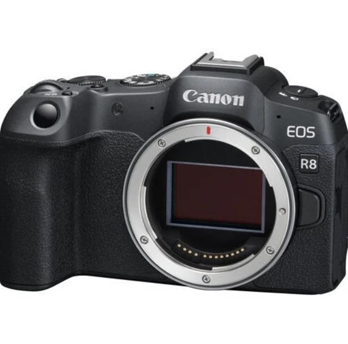 Canon EOS R8 Body