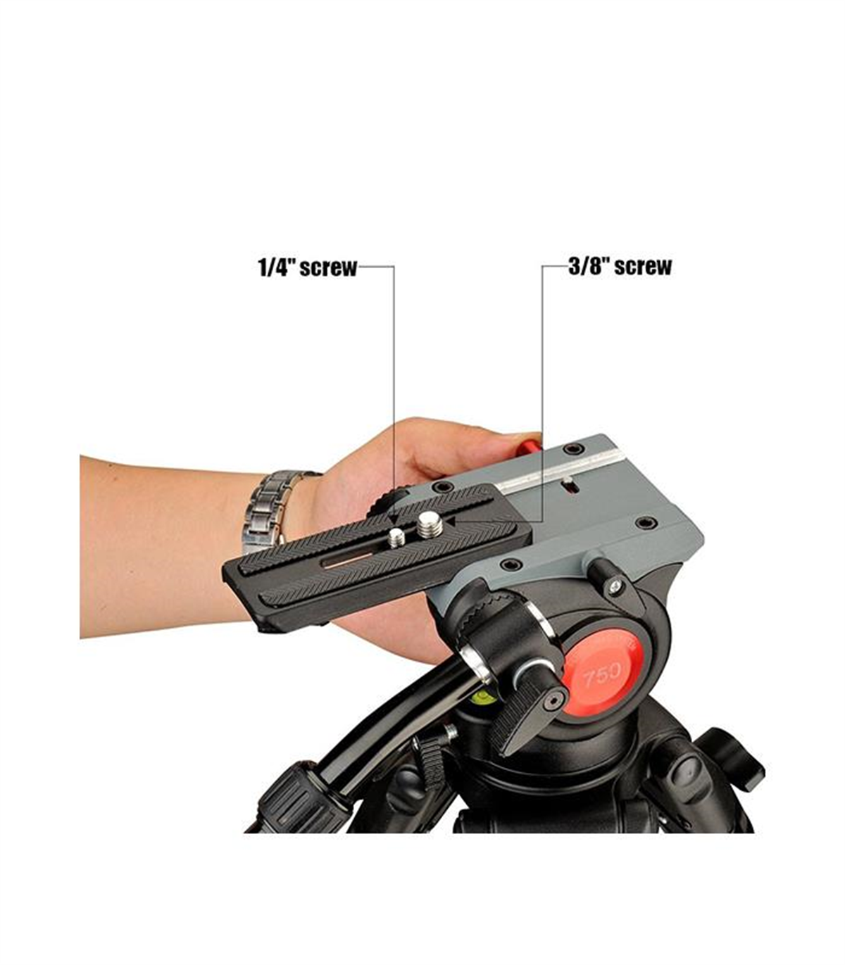 Digipod DTW-75AW Video Tripod Kiti
