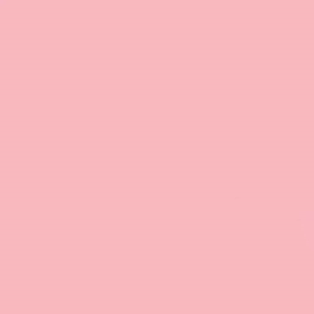 GDX Kağıt Sonsuz Stüdyo Fon Perde (Coral) 2.70x11 Metre
