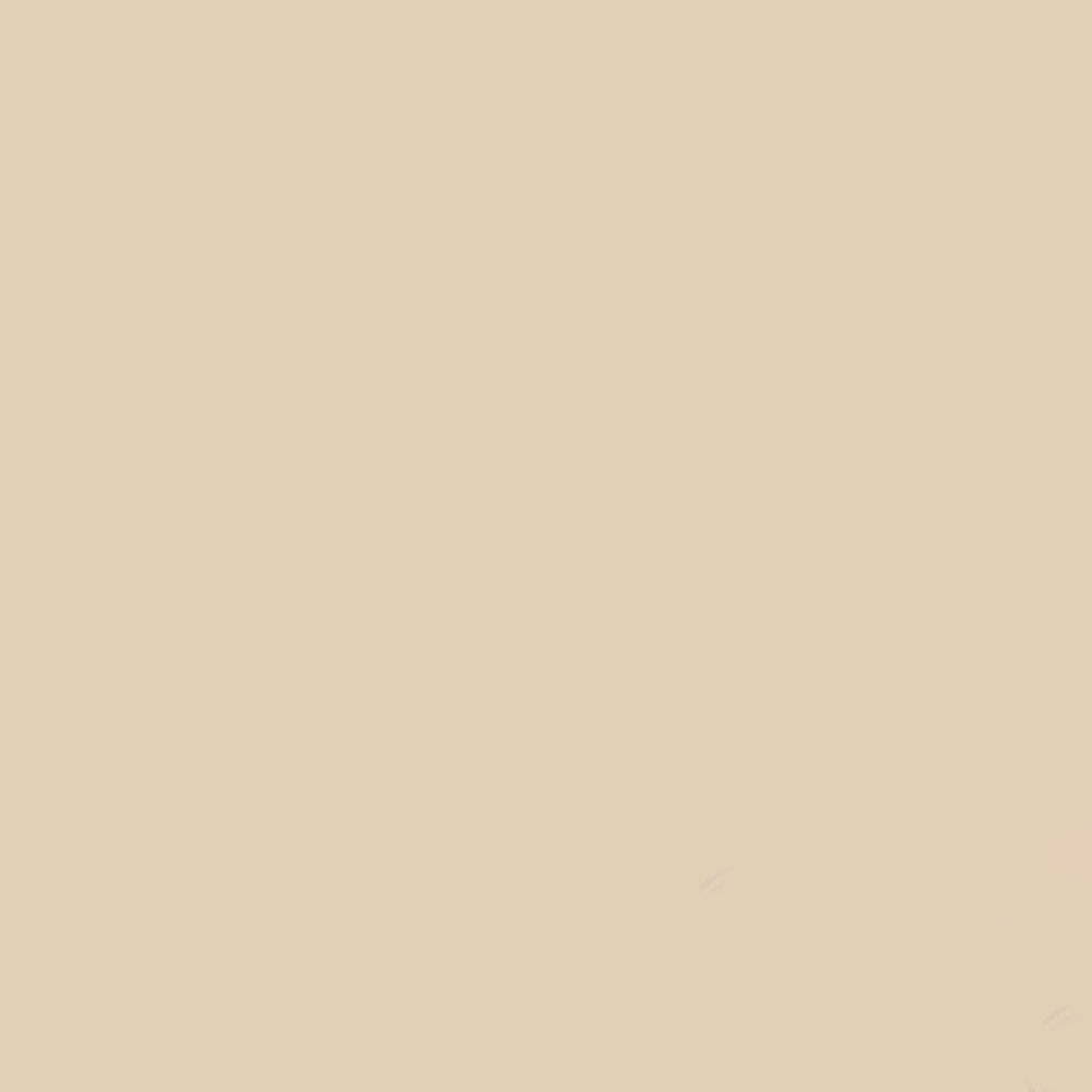 GDX Kağıt Sonsuz Stüdyo Fon Perde (Egg Nog) 2.70x11 Metre