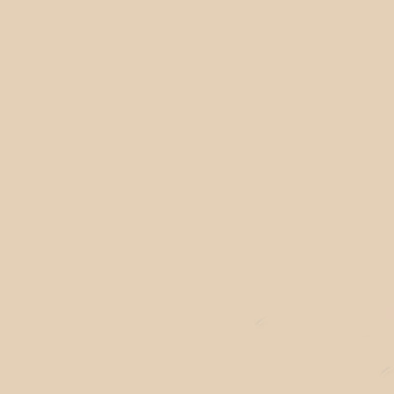 GDX Seyyar Kağıt Sonsuz Stüdyo Fon Perde (Egg Nog) 2.70x11 Metre