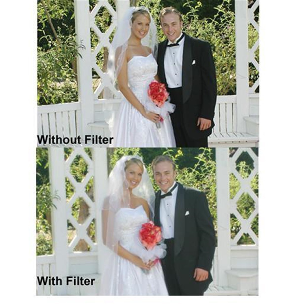 Hoya 49mm Diffuser Filtre