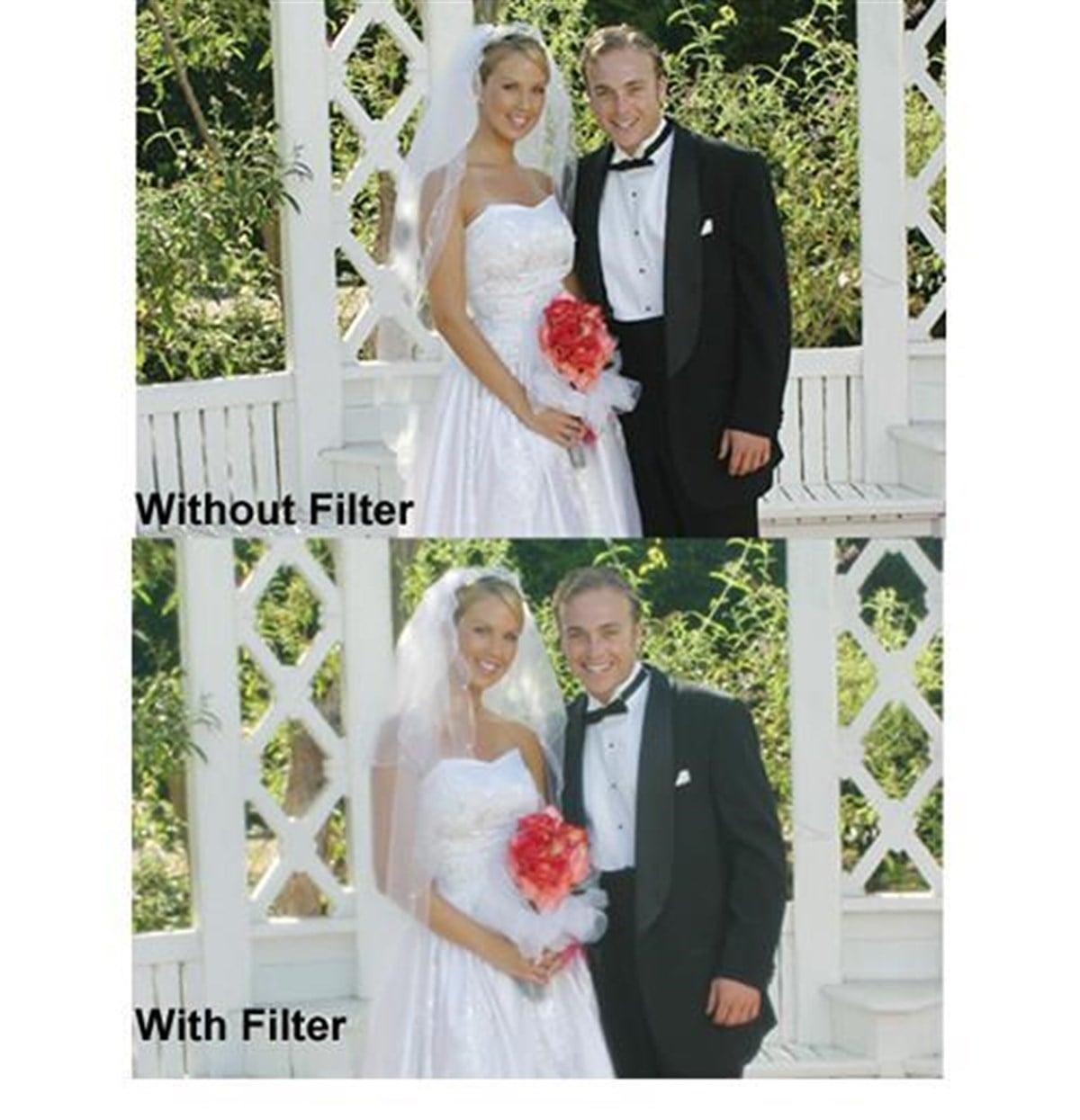 Hoya 49mm Diffuser Filtre