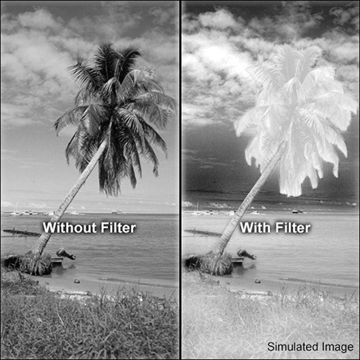 Hoya R72 49mm Kızılötesi İnfrared Filtre 