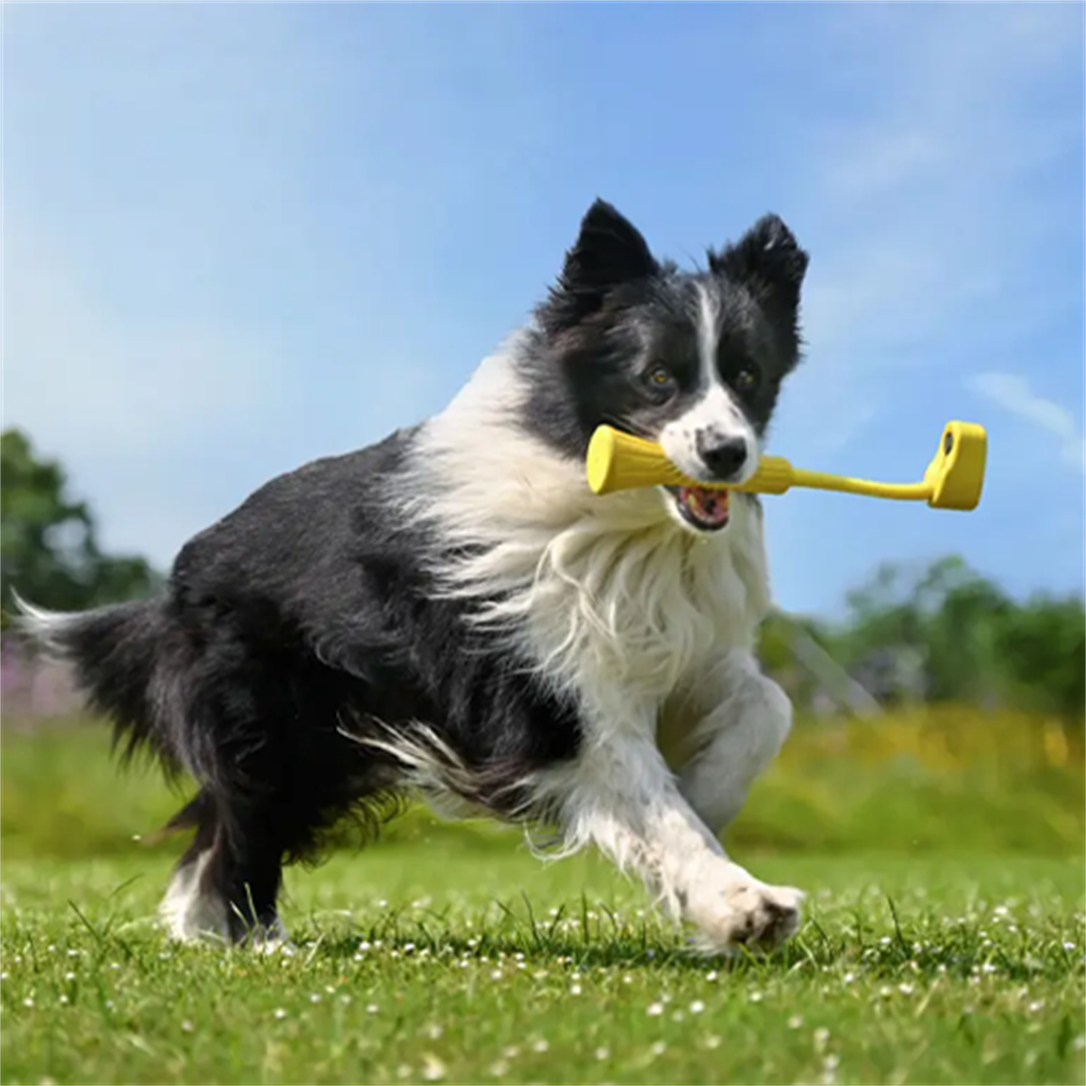 Insta360 GO 3 Fetch Stick