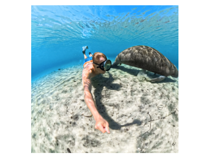 Insta360 X5 Invisible Dive Case