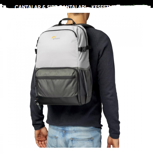 Lowepro Truckee BP 250 LX (Grey)