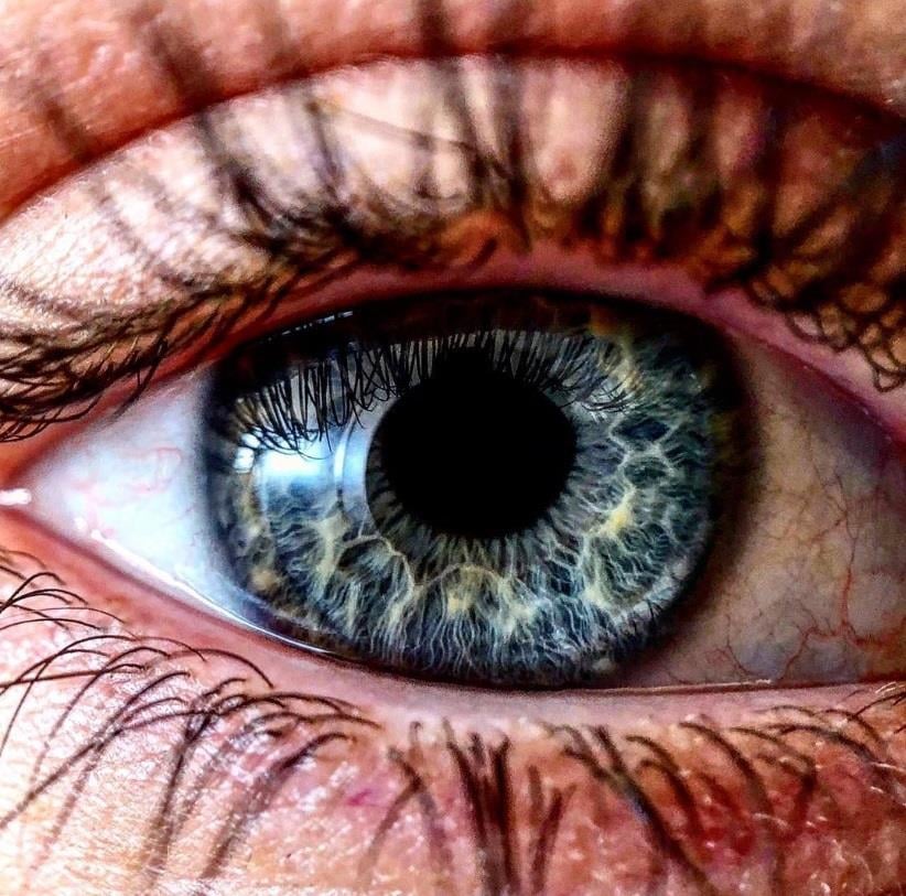 Macro Lens Edition - iPhone 14