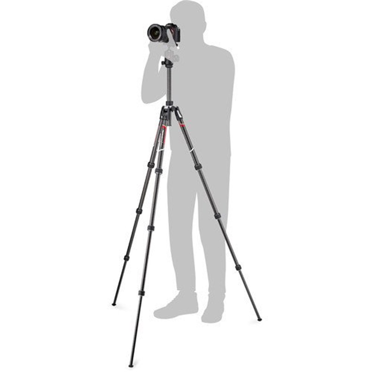 Manfrotto MKBFRTC4GT-BH Befree GT Travel Carbon Fiber Tripod (496 Ball Head)