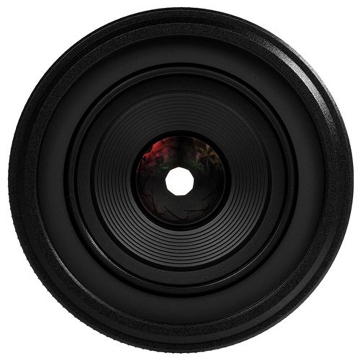 Nikon Z MC 50mm f/2.8 Lens