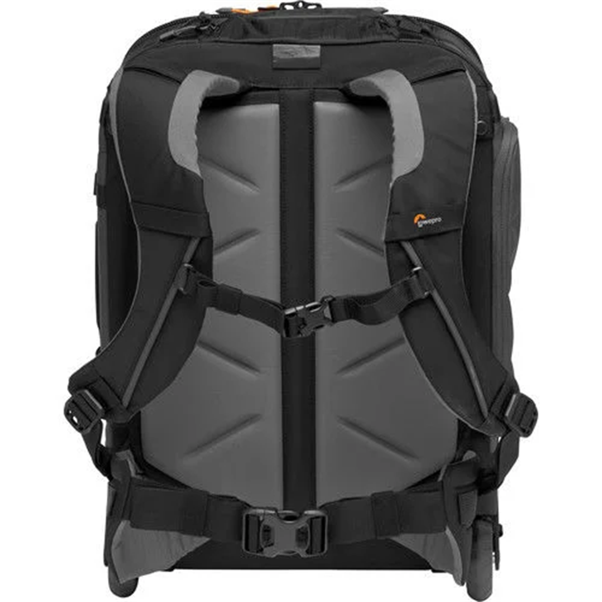 Pro Trekker RLX 450 AW II